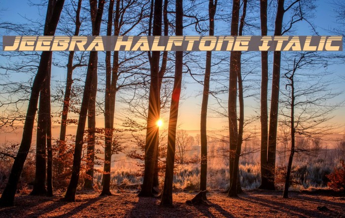 Jeebra Halftone Italic Font examples