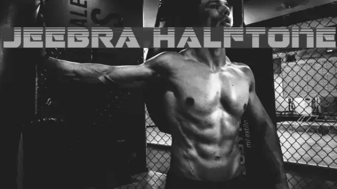 Jeebra Halftone Font examples