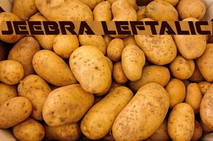 Jeebra Leftalic Example 2