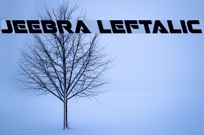 Jeebra Leftalic Example 3