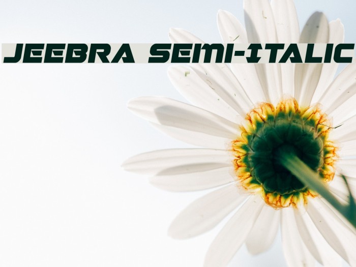 Jeebra Semi-Italic Example 3