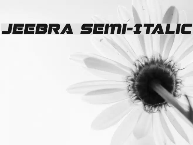 Jeebra Semi-Italic Font examples