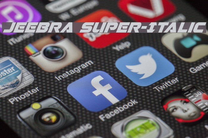 Jeebra Super-Italic Example 2