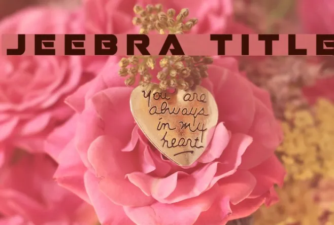 Jeebra Title Example 2