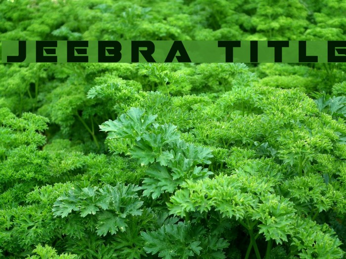 Jeebra Title Font examples