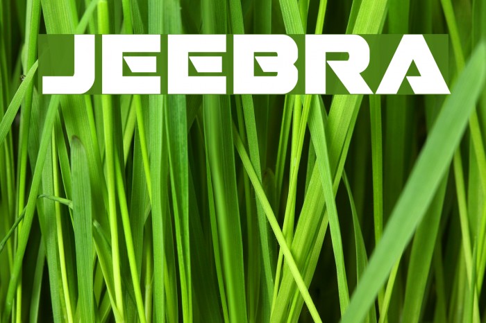 Jeebra Font examples