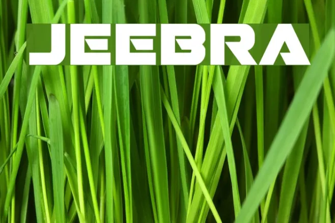 Jeebra Example 3