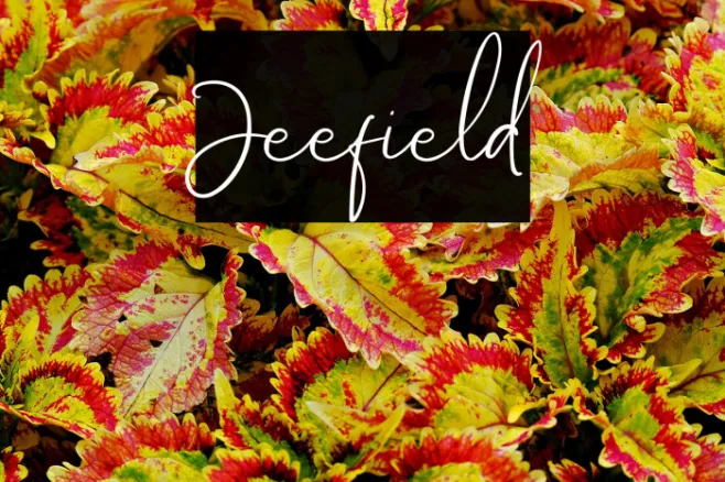 Jeefield Example 1