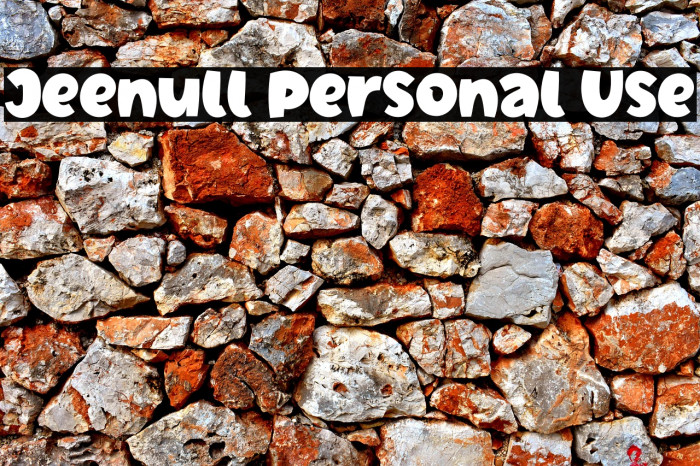 Jeenull Personal Use Example 1