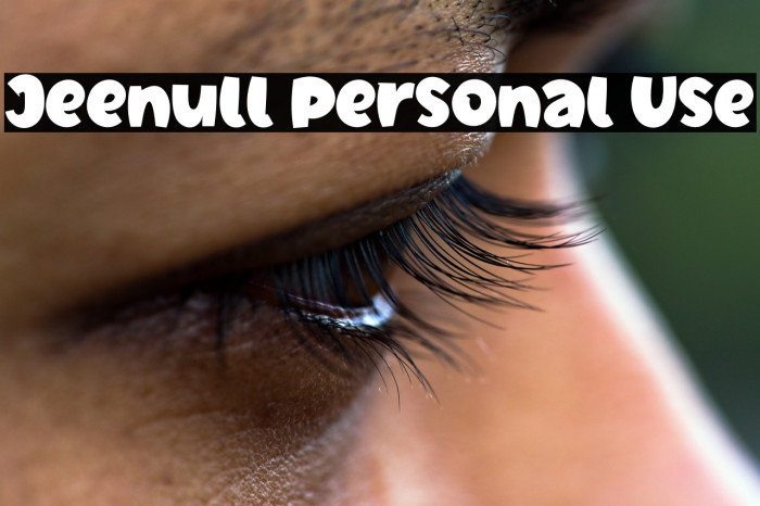 Jeenull Personal Use Example 3