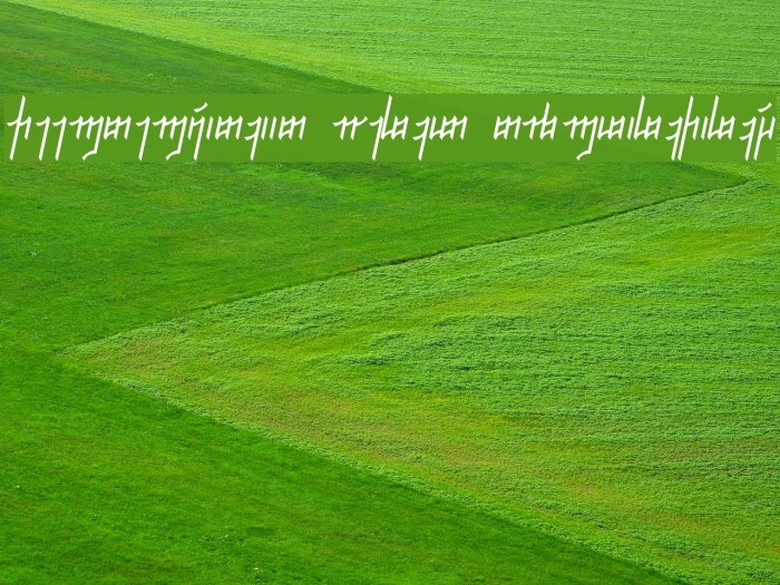 Jeernervaniaan Qelis NormalItalic Font examples