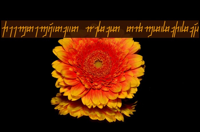 Jeernervaniaan Qelis NormalItalic Font examples