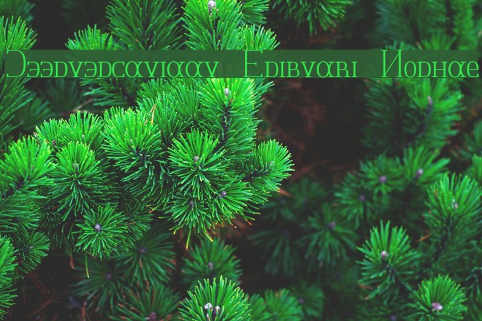 Jeernervaniaan Sribnaki Normal Example 2