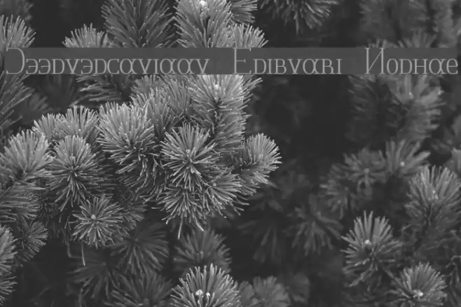 Jeernervaniaan Sribnaki Normal Font examples