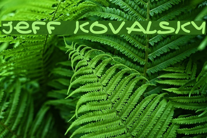 Jeff Kovalsky Font examples