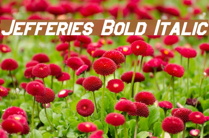 Jefferies Bold Italic Font examples