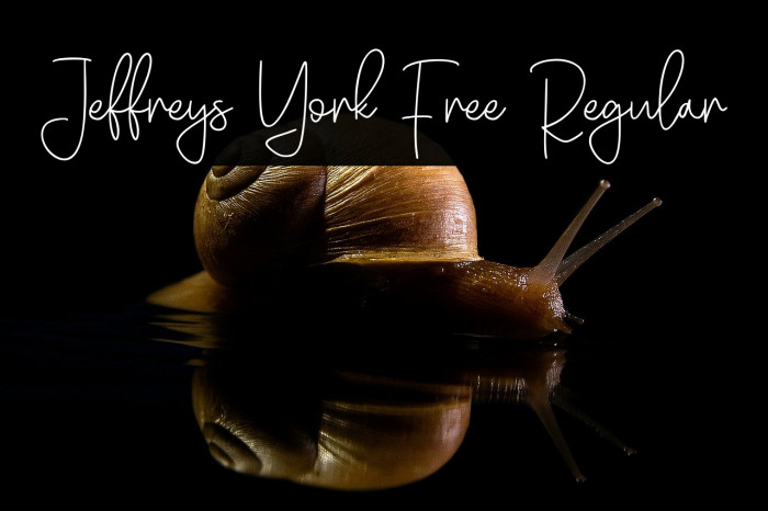 Jeffreys York Free Regular Example 3