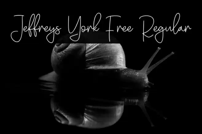 Jeffreys York Free Regular Font examples