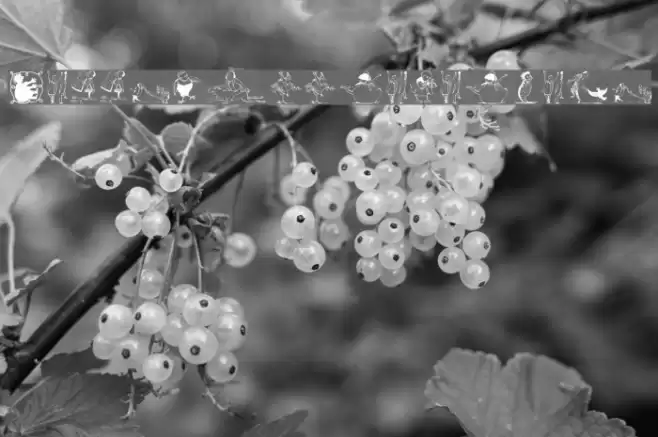 JeffsLittleHelpers Font examples