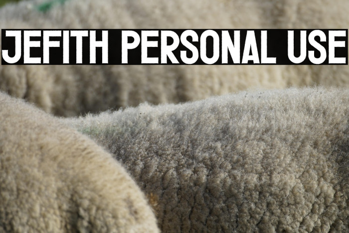 Jefith Personal Use Example 1