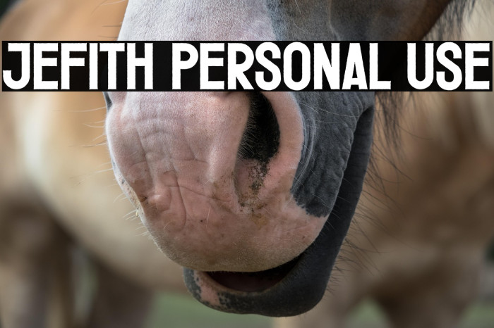 Jefith Personal Use Example 2