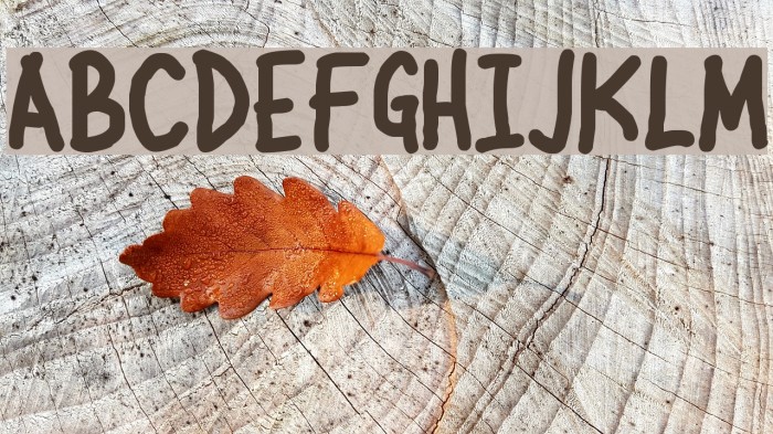 Jehzlau Concepts Font examples