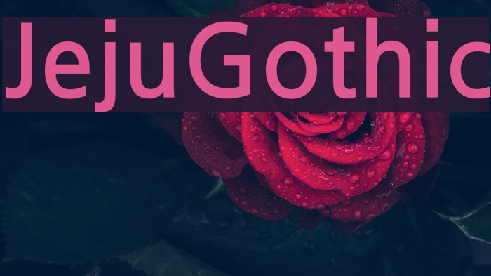 JejuGothic Font examples