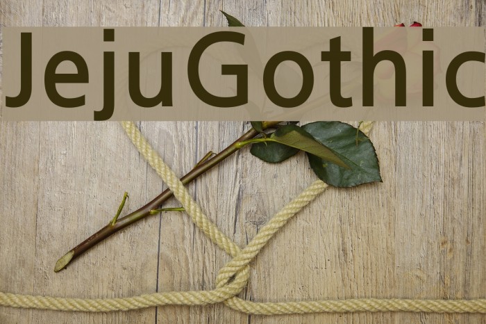 JejuGothic Font examples