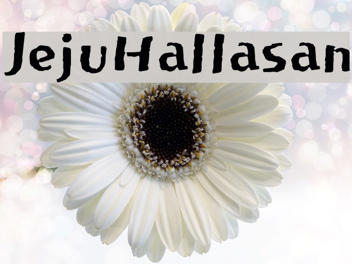 JejuHallasan Font examples