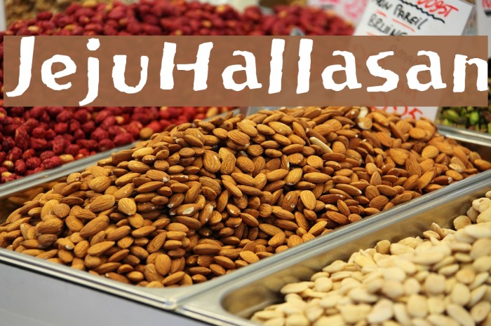 JejuHallasan Font examples