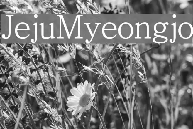 JejuMyeongjo Font examples