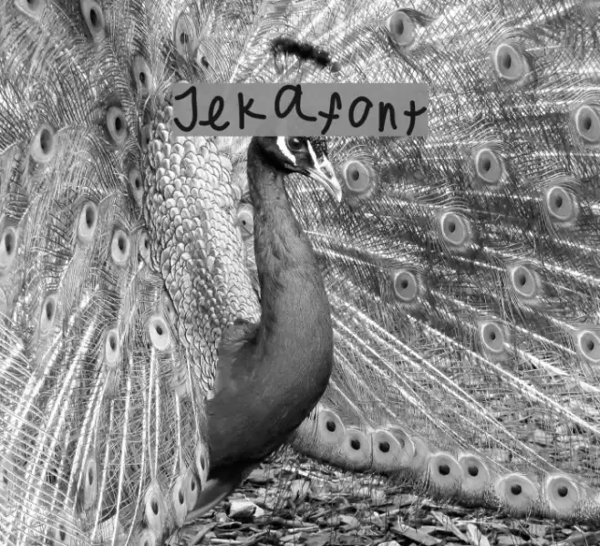 Jekafont Font examples