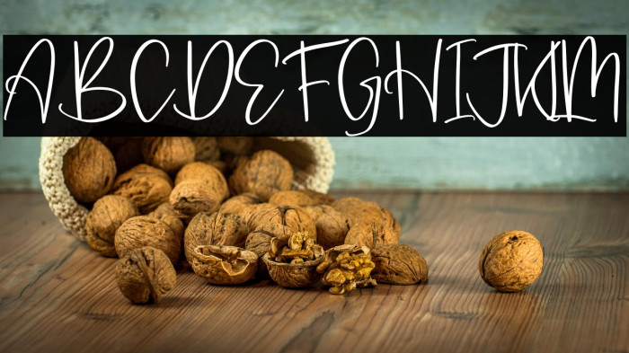 Jelajahi Etha Example 2