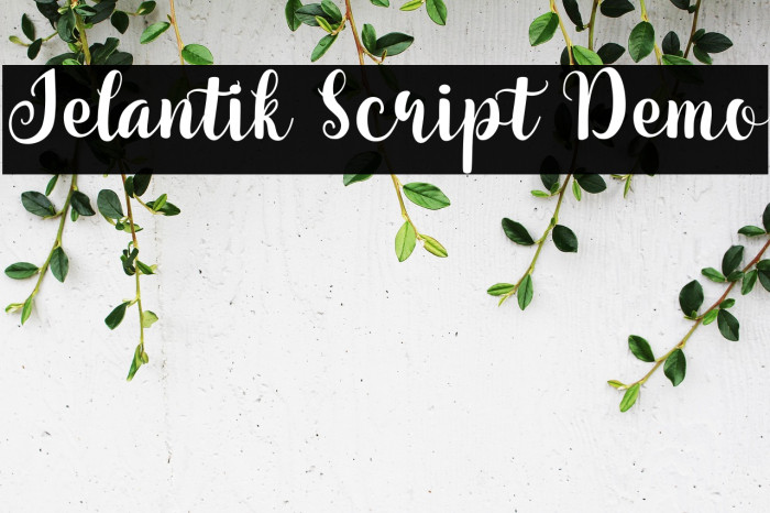 Jelantik Script Demo Example 2