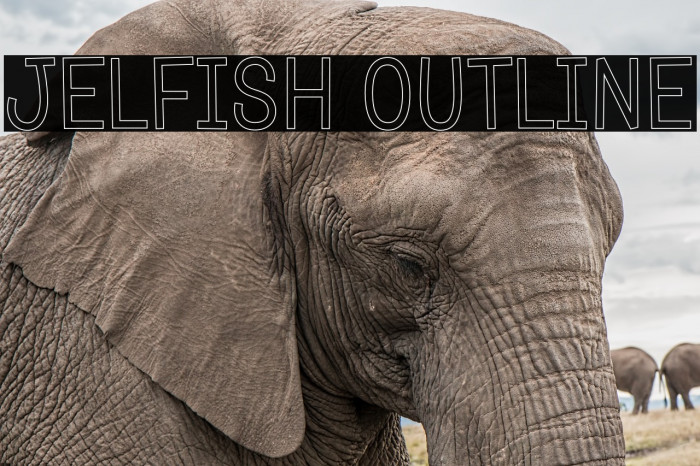 Jelfish Outline Font examples