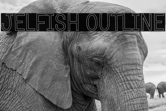 Jelfish Outline 字体 examples