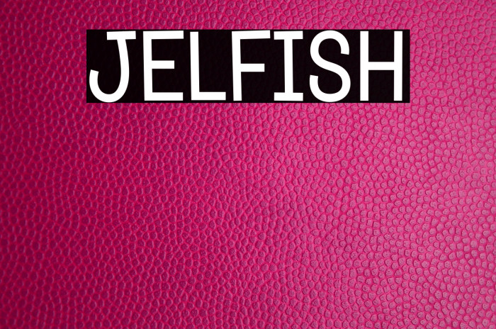 Jelfish Font examples