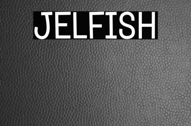 Jelfish Font examples