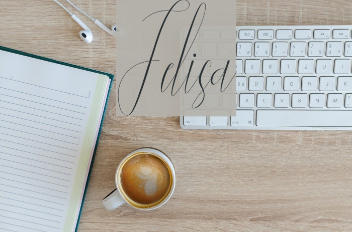 Jelisa Font examples
