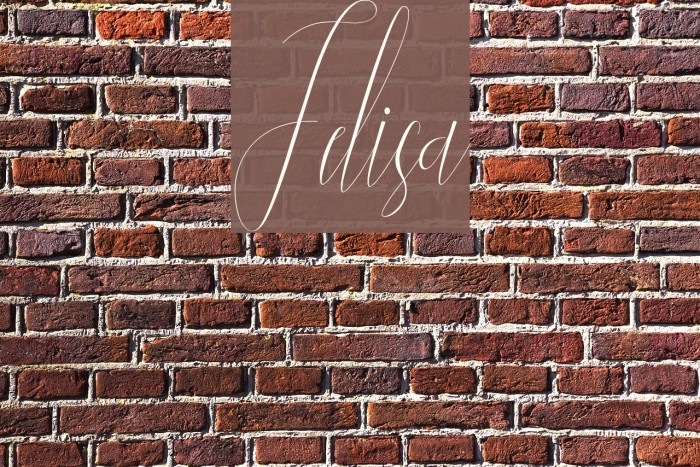 Jelisa Font examples