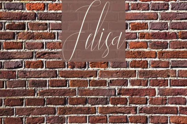 Jelisa Example 3
