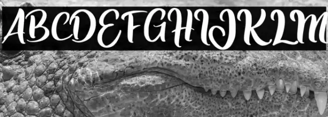 Jelita Font examples