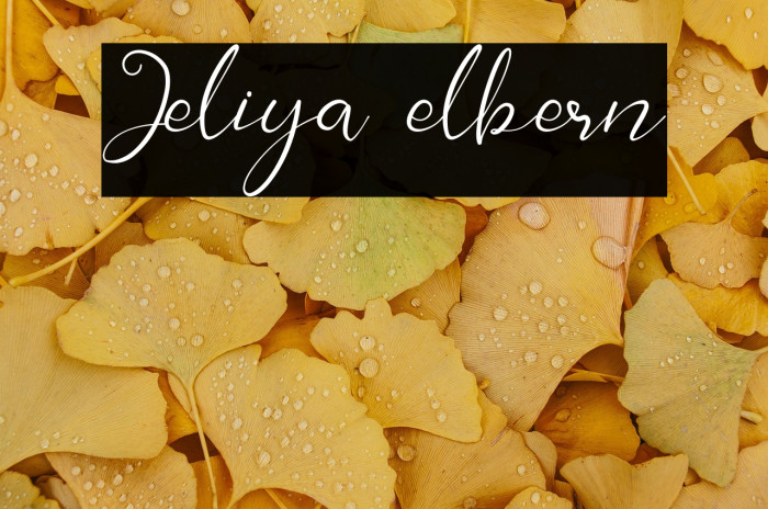 Jeliya elbern Example 2