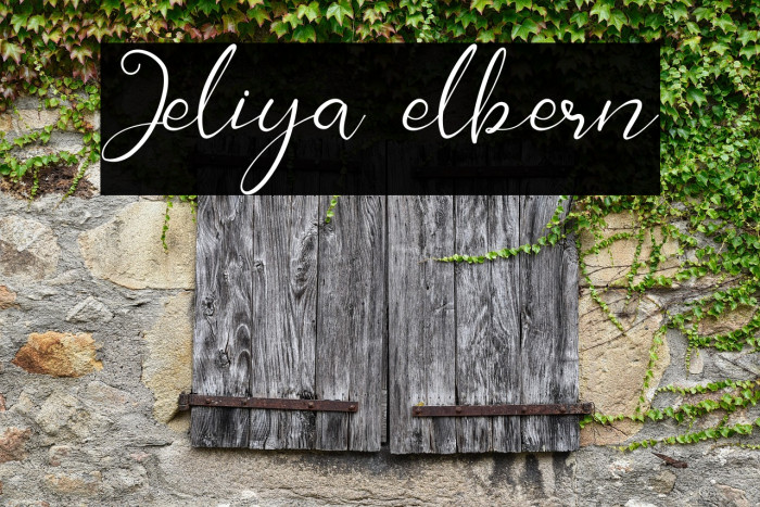 Jeliya elbern Example 3