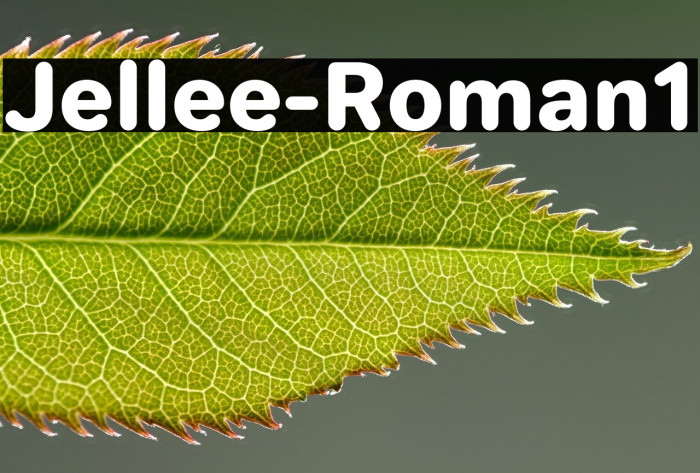 Jellee-Roman1 Example 2