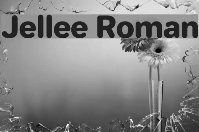 Jellee Roman Font examples