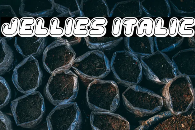 Jellies Italic Example 3