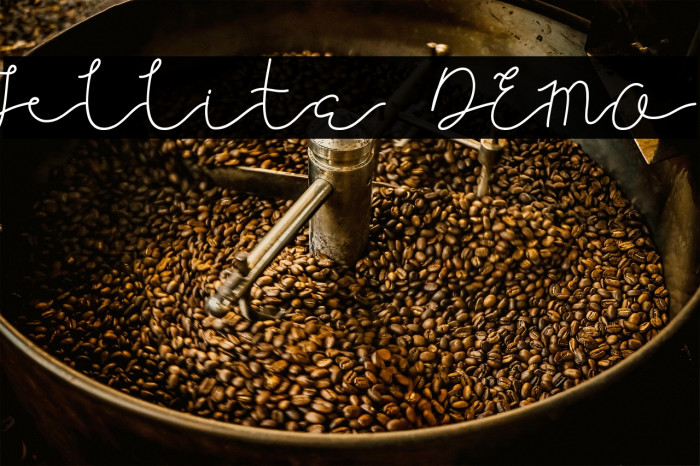 Jellita DEMO Example 2