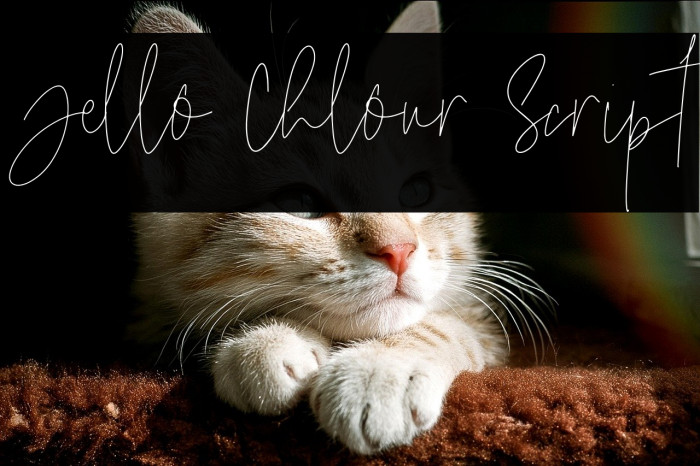 Jello Chlour Script Example 1