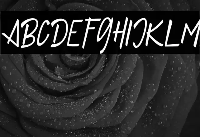 JelloFREE Polices examples